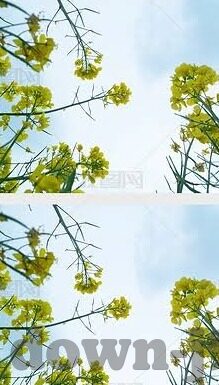 水果机压大压小技巧-水果机压大压小技巧，提升胜率的实用策略